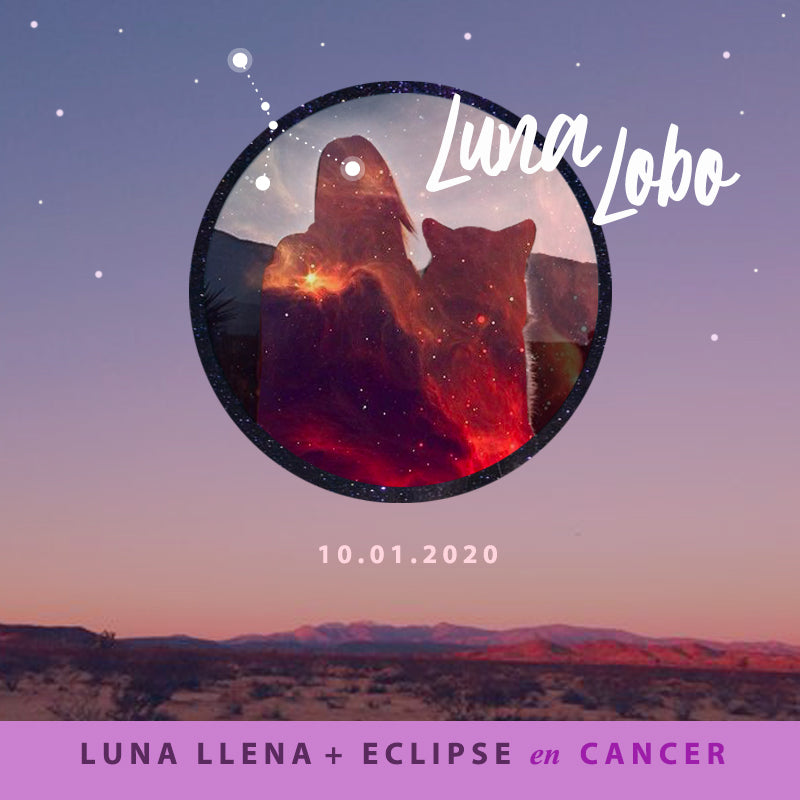 LUNA LLENA en Cancer + Eclipse Lunar Enero 2020